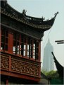 Shanghai (204)